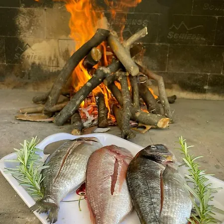 Off Grid Robinson House Karmen Sutivan